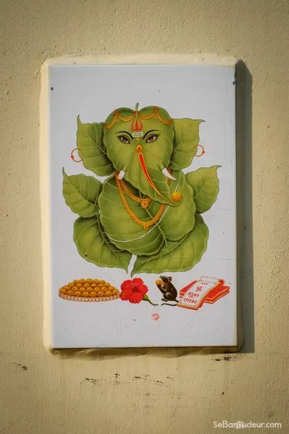 Rishikesh > France