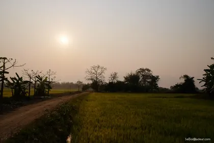 Chiang Mai J384 Thailande