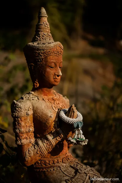 Chiang Mai J384 Thailande