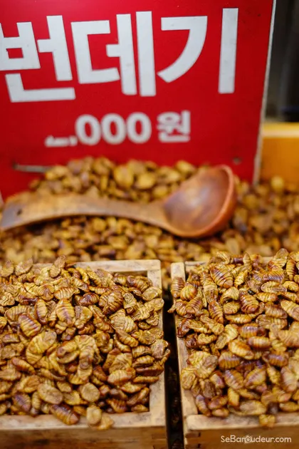 Gapyeong J100 Corée du Sud