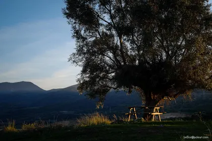 Spot bivouac d'un soir