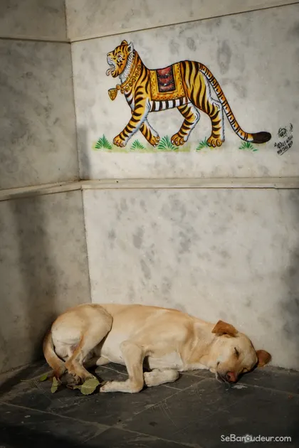 Udaipur