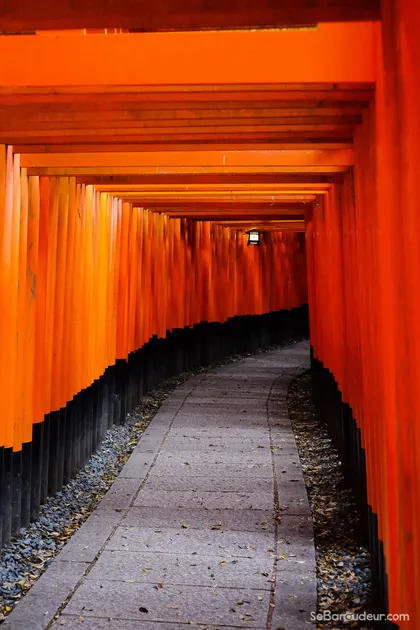 Fushimi Inari