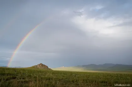 Bivouac avec les loups