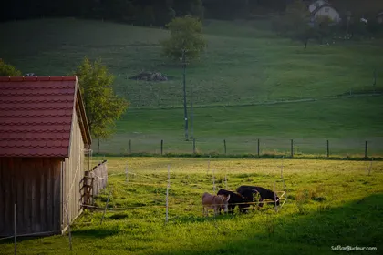 Soteska (juste avant Ljublajana)