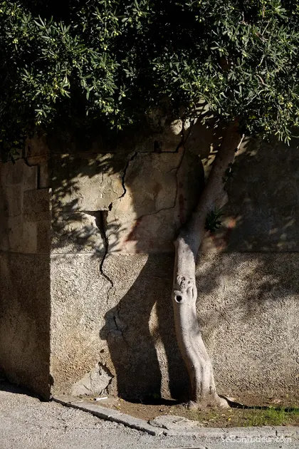 Dubrovnik  J129  Croatie