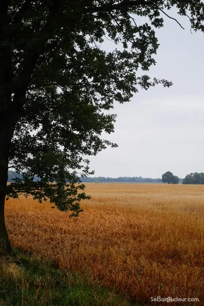 J514 Breme Allemagne