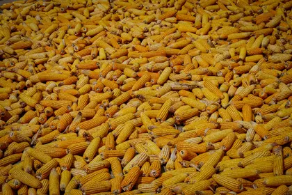 Kunming J216 Chine