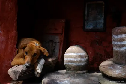 Varanasi