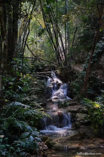 Chiang Mai J384 Thailande