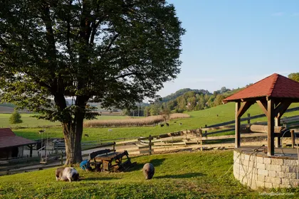 Soteska (juste avant Ljublajana)